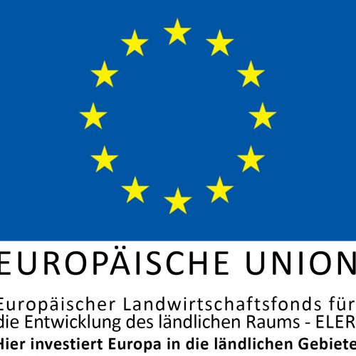 EULogoHieriInvestiert_zentriert